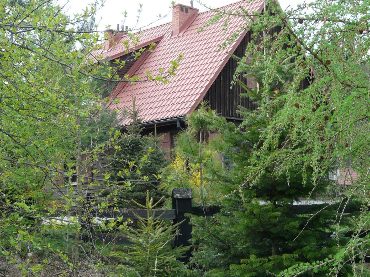 Salamandra Apartment Krempna Exterior photo