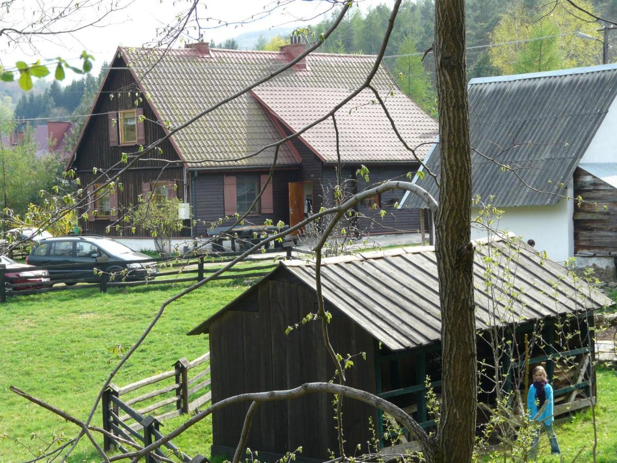 Salamandra Apartment Krempna Exterior photo